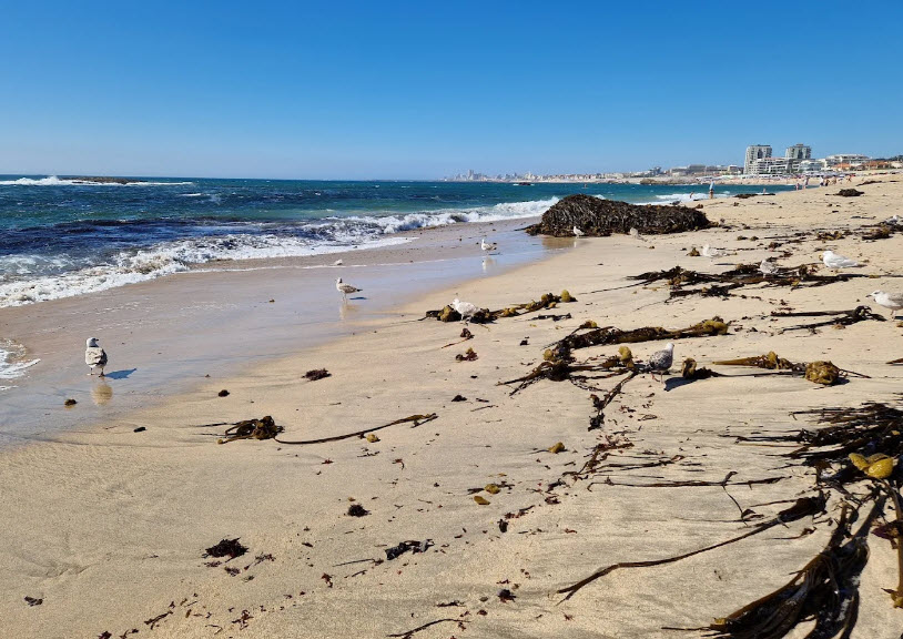 Praia da Ladeira Sul, Vila do Conde, Portugal, Portugal